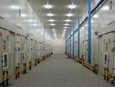 優化倉儲效率的核心 全面了解現代倉儲設備